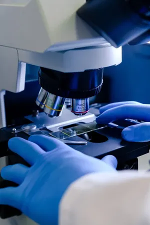 Produto: fornecedores de microscopios eletronicos