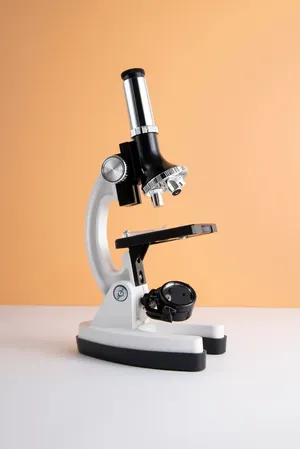 Categoria microscopio eletronico de Especialistas de Inspeção